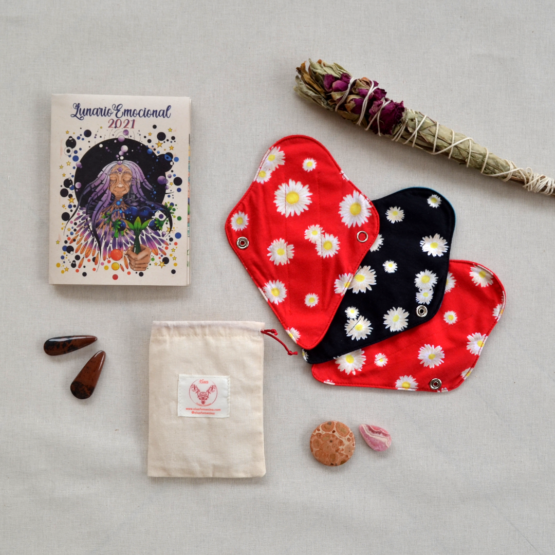 Kit Protectores Tangas